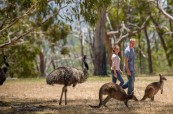 Austrálie je skvělá volba pro všechny, kteří chtějí prožít delší dobu v zahraničí a zapracovat na své angličtině, SACE Adelaide